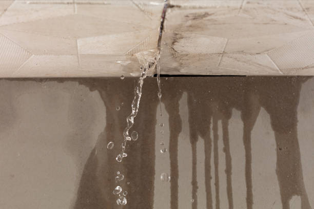 Professional Water Damage Inspection technician working in Carefree, AZ
